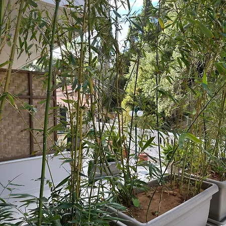 Almyra Living - Adults Only Agios Gordios (Corfu)
